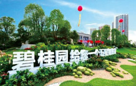 郴州永興碧桂園一期